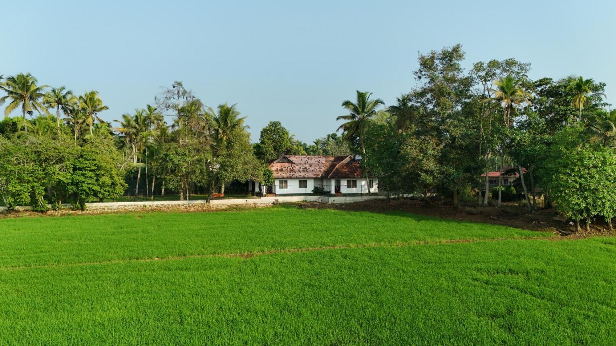 Paadam By The Backwaters Kumarakom Εξωτερικό φωτογραφία